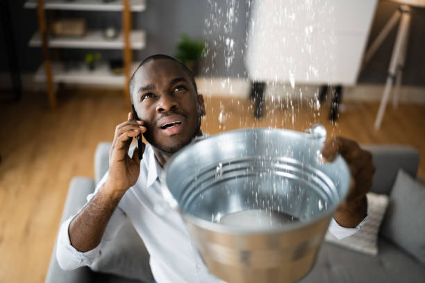 Best Flood damage cleanup  in Lake Hamilton, AR