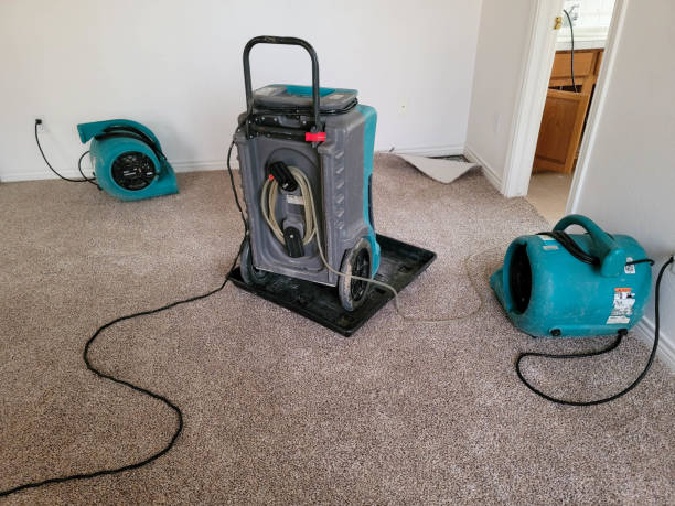 Best 24/7 water damage repair  in Lake Hamilton, AR
