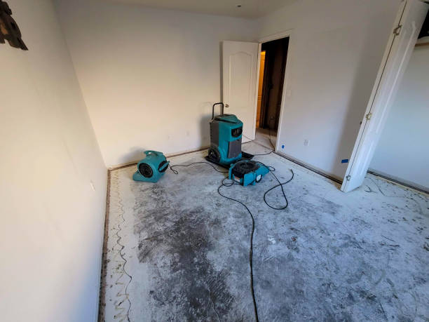 Best Sewage cleanup and water damage restoration  in Lake Hamilton, AR