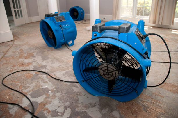 Best Flood restoration services  in Lake Hamilton, AR