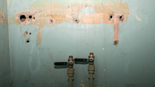Best Ceiling water damage repair  in Lake Hamilton, AR