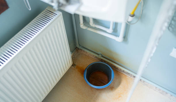 Best Water damage restoration near me  in Lake Hamilton, AR