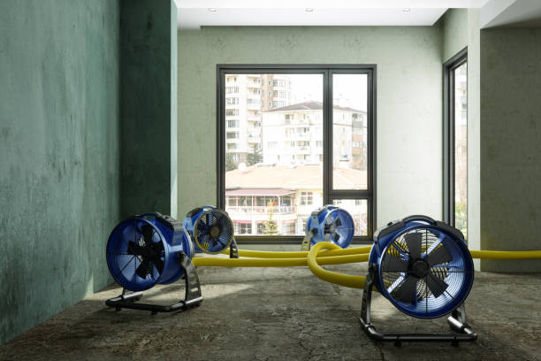 Best Residential water damage restoration  in Lake Hamilton, AR